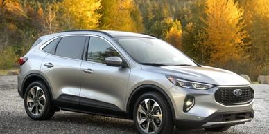 Ford Fleet & Commercial Sales Ford Escape